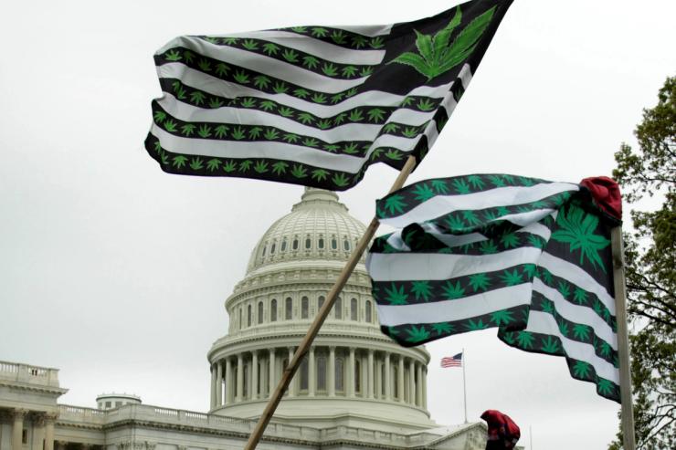 Marijuana flags are seen as protesters gather to smoke marijuana on the steps of the U.S. Capitol.