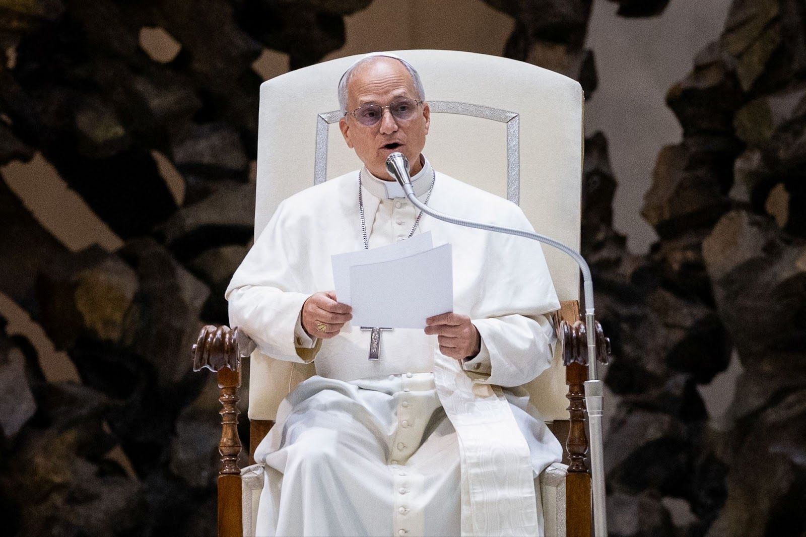 Pope Leo XIV holds an audience.