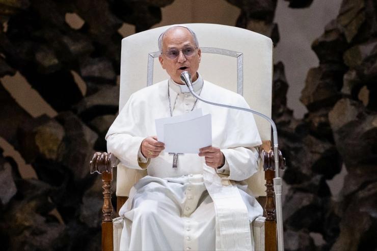 Pope Leo XIV holds an audience.