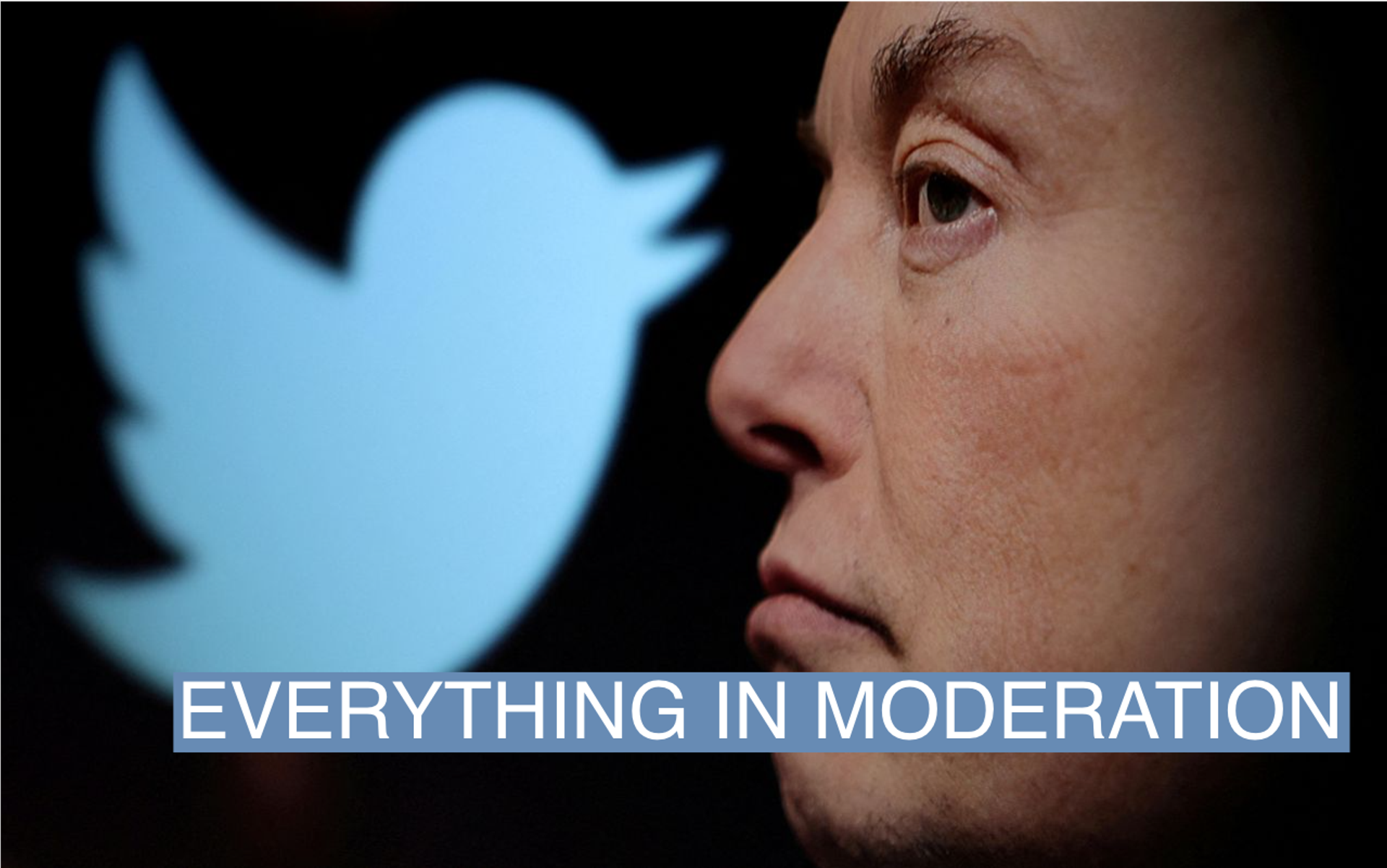 Twitter logo and a photo of Elon Musk are displayed through magnifier in this illustration taken October 27, 2022.