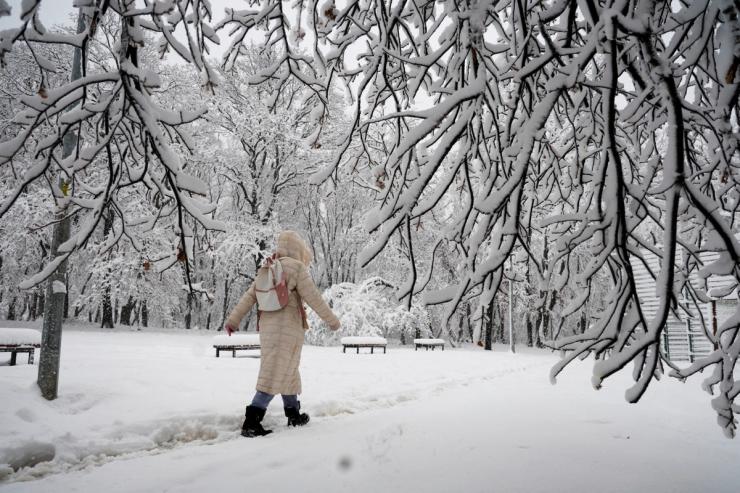 A woman walks through the snow-covered Kosutnjak Forest during heavy winter snowfall in Belgrade, Serbia.