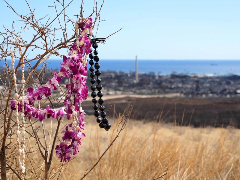 Maui memorial