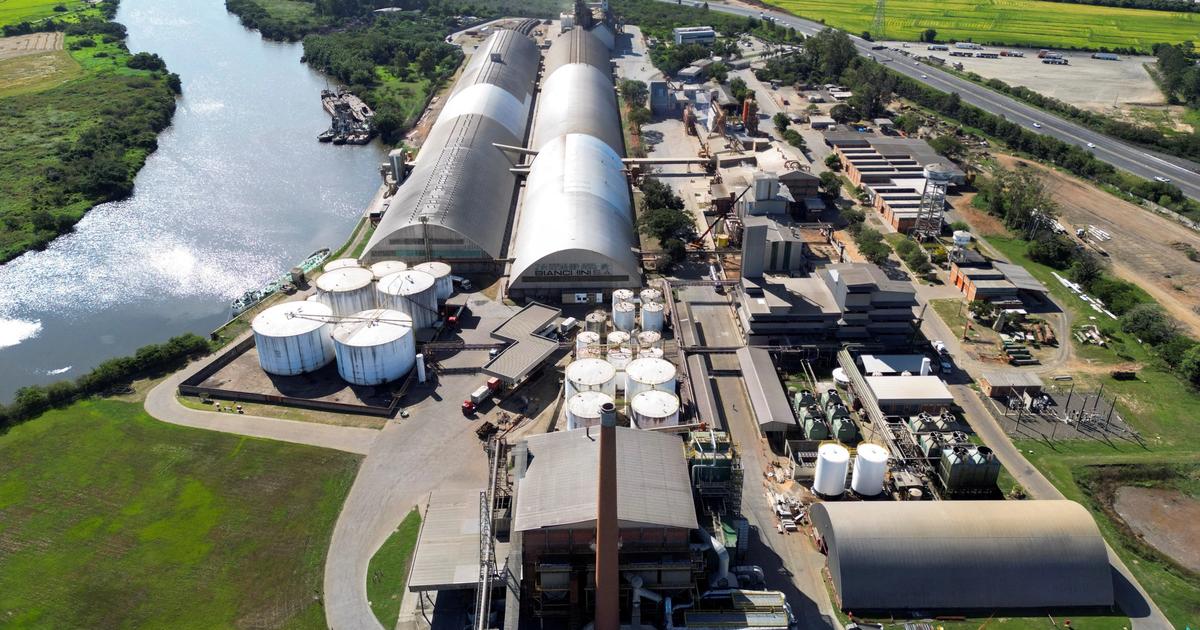 Why biofuels are back