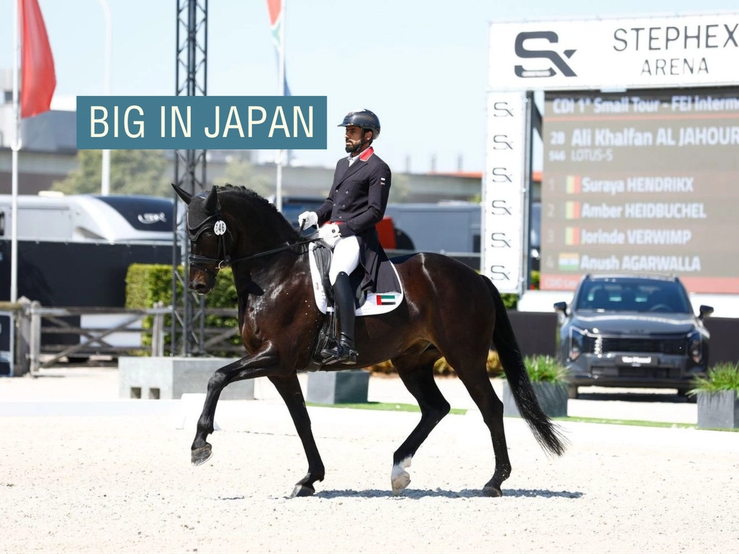Rider Ali Khalfan Al Jahouri and his horse, Lotus-S.