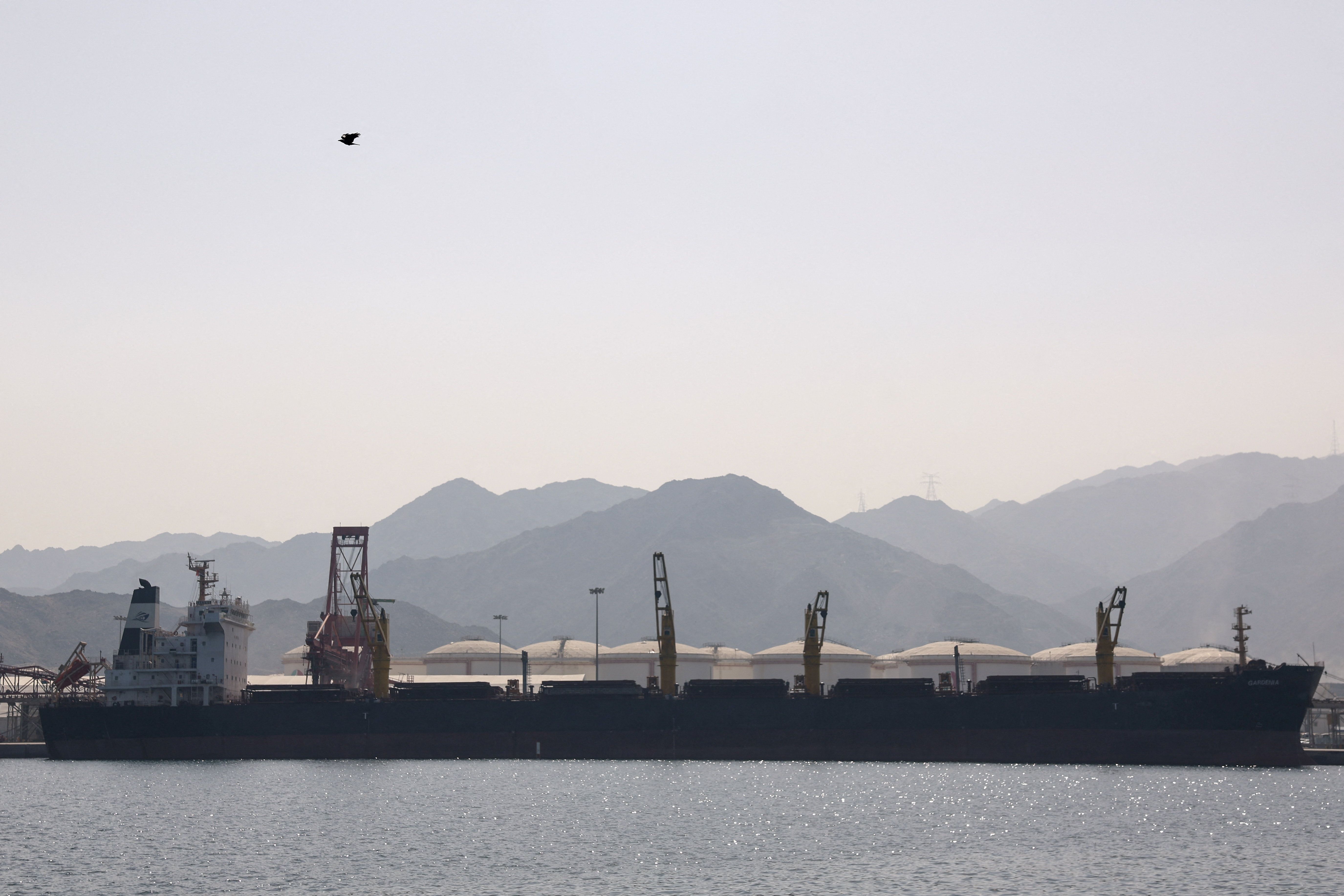 A bulk carrier docked at the Port of Fujairah