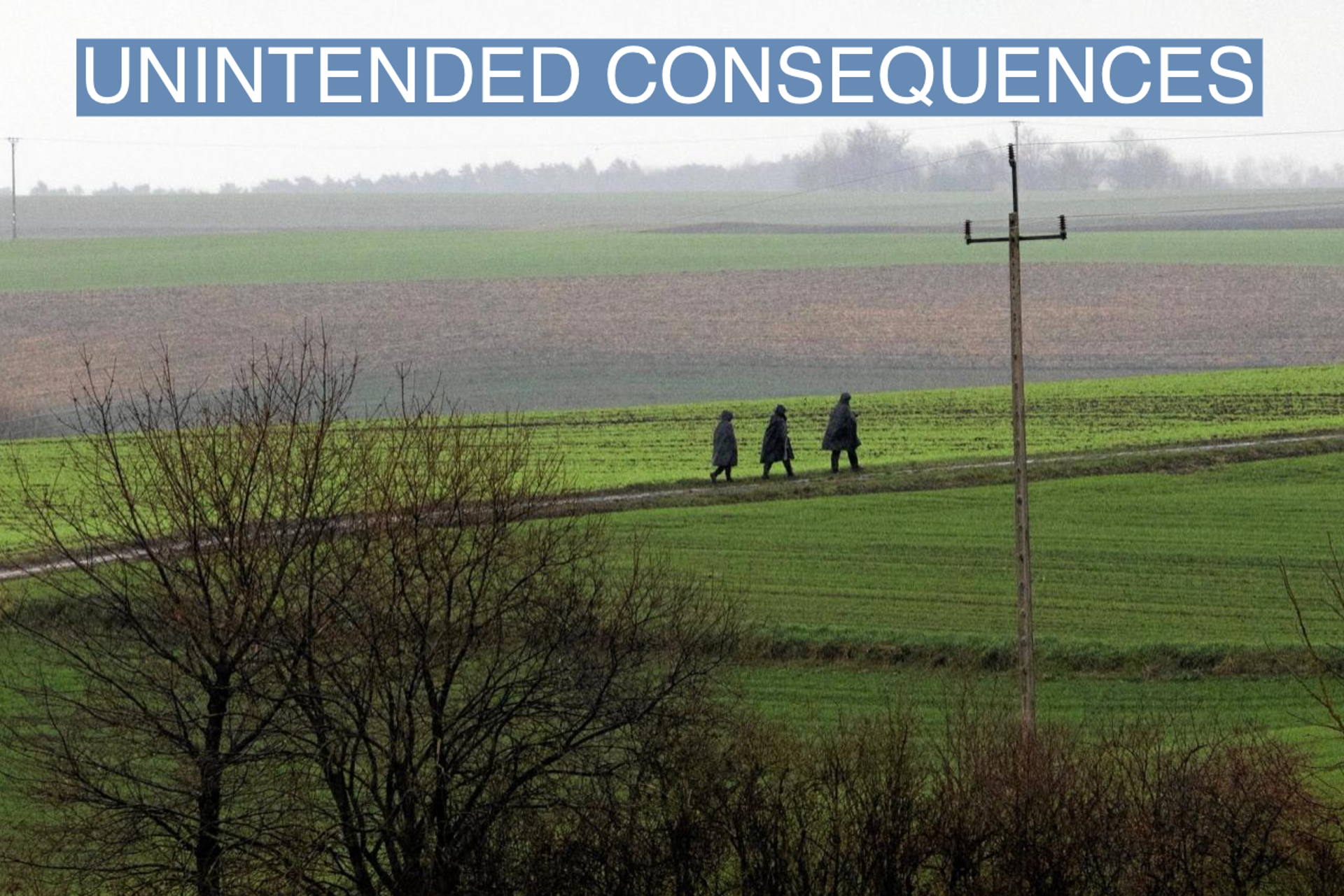 Police officers walk near the site of an explosion in Przewodow, a village in eastern Poland near the border with Ukraine, November 16, 2022.