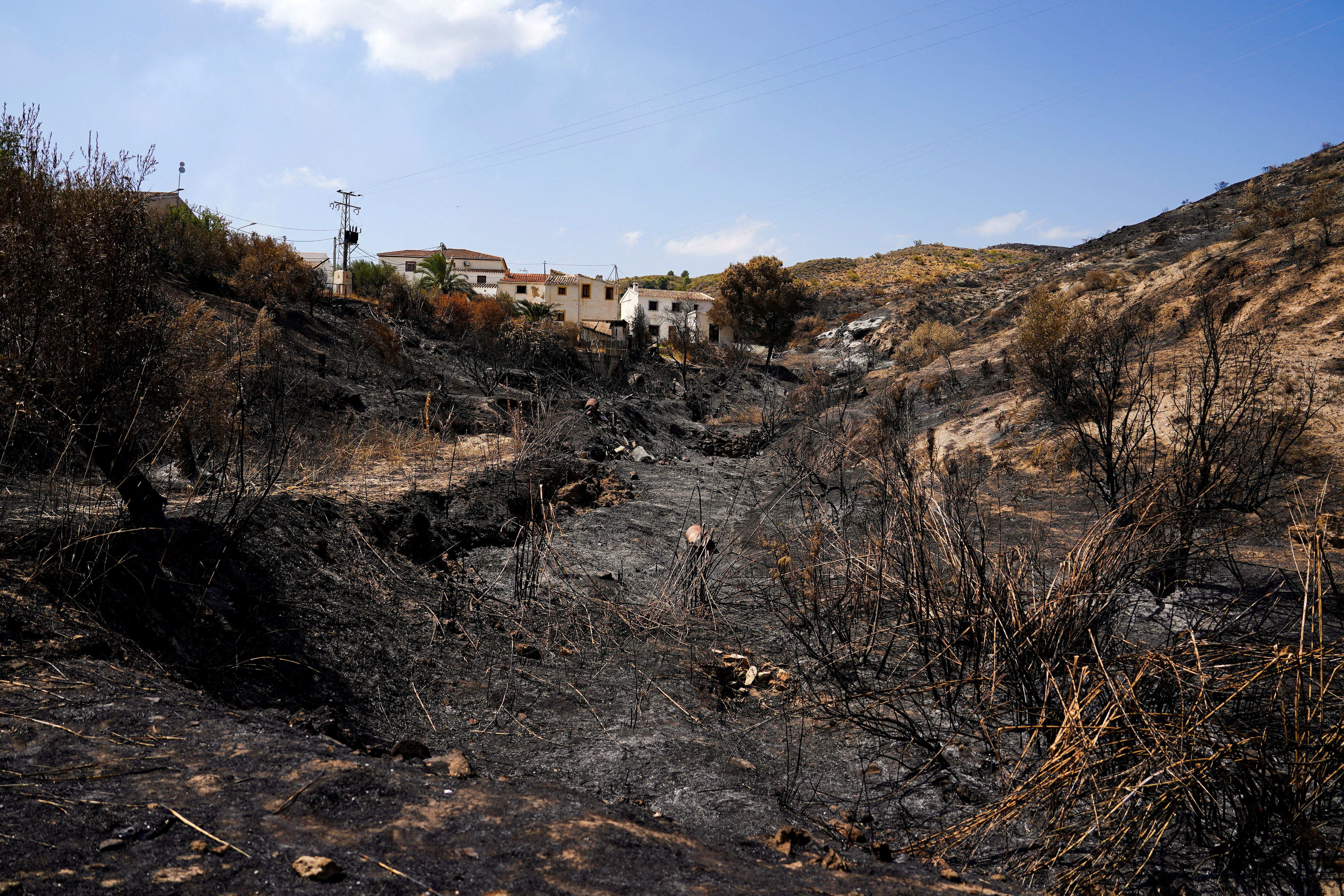 Burnt area around houses after a deadly wildfire in Almocaizar, Almeria, Spain.