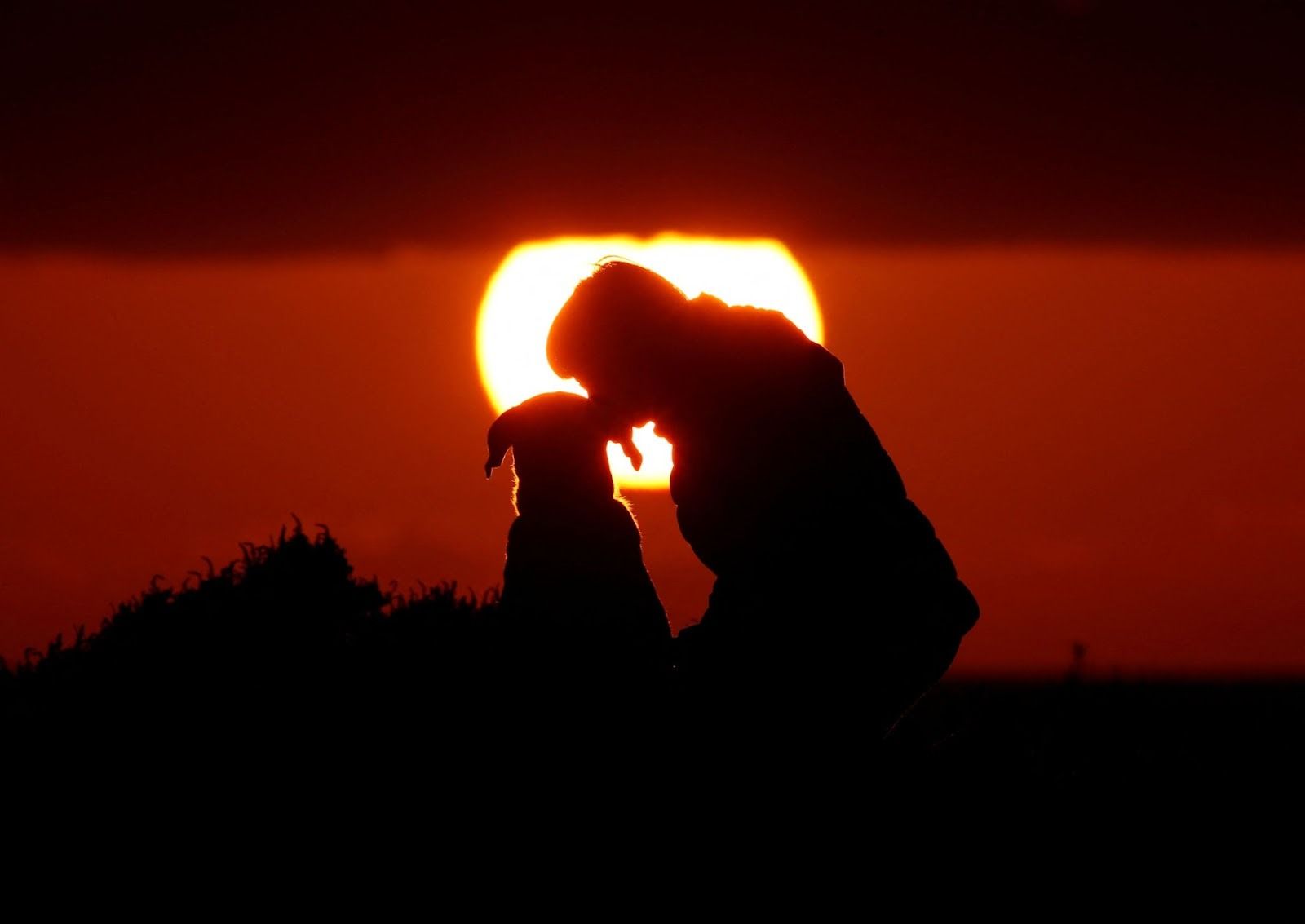 A person kissing a dog. 