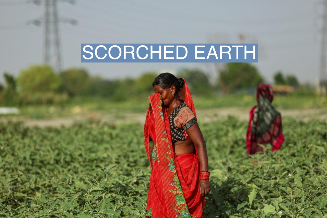 A farm laborer wipes sweat off her face as she plucks vegetables on a field at the Yamuna floodplains on a hot summer day during a heatwave in New Delhi, India, on May 30, 2024.
