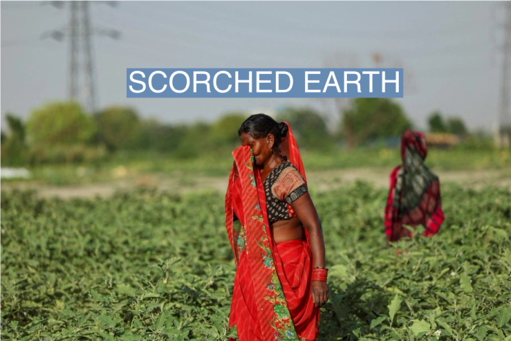 A farm laborer wipes sweat off her face as she plucks vegetables on a field at the Yamuna floodplains on a hot summer day during a heatwave in New Delhi, India, on May 30, 2024.