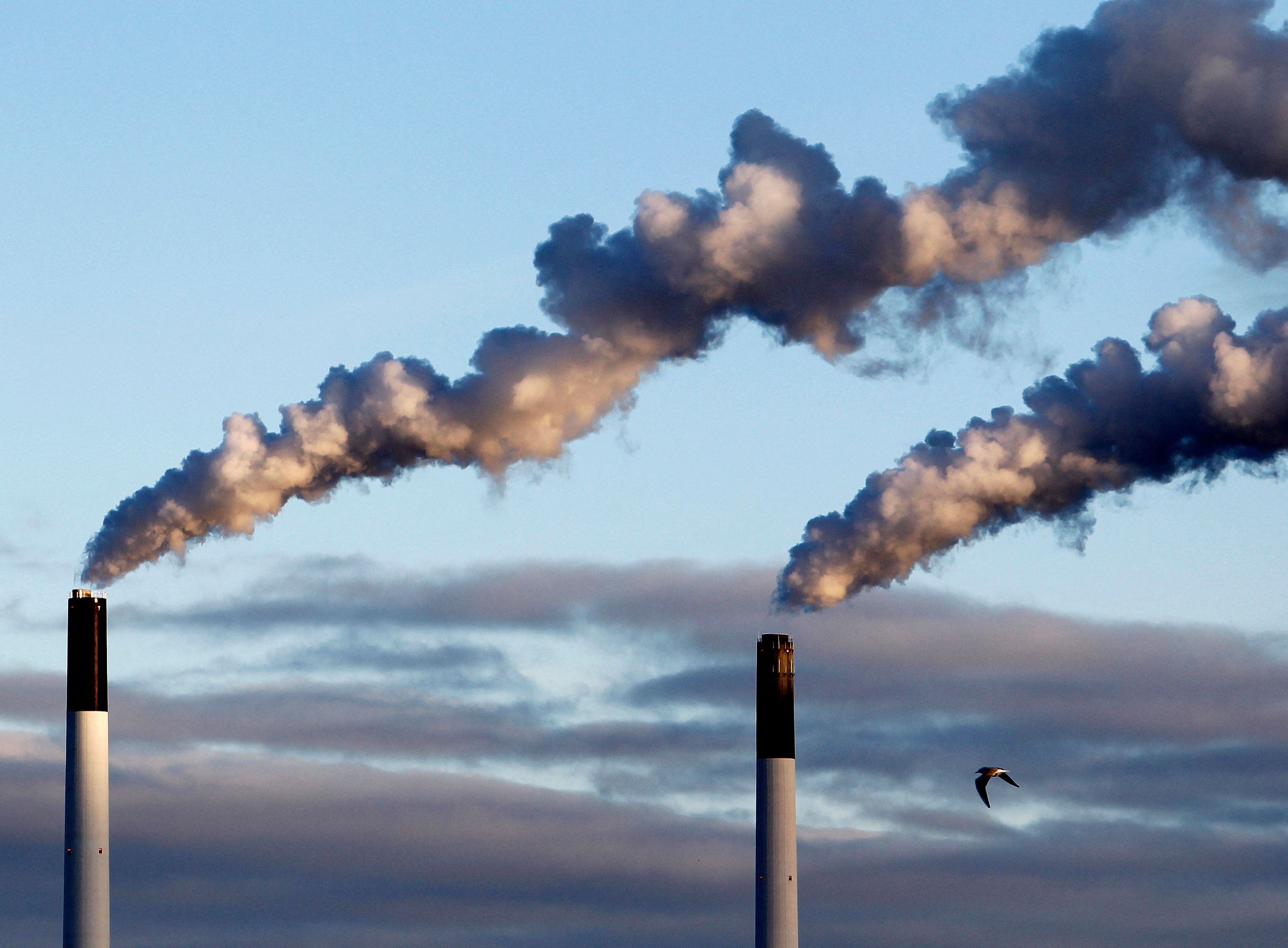 A bird flies near chimneys emitting smoke in the harbour area of Copenhagen