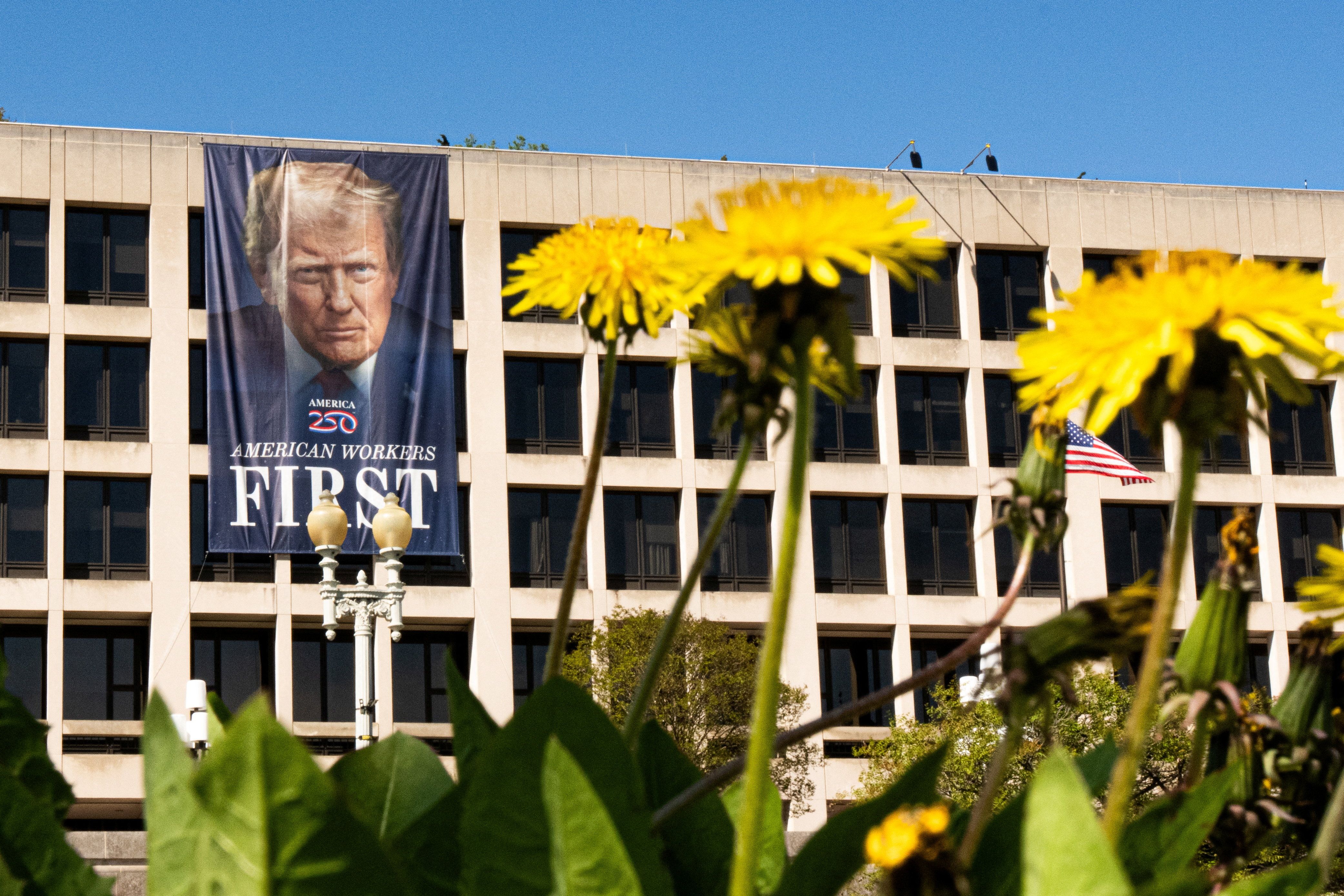 The Department of Labor