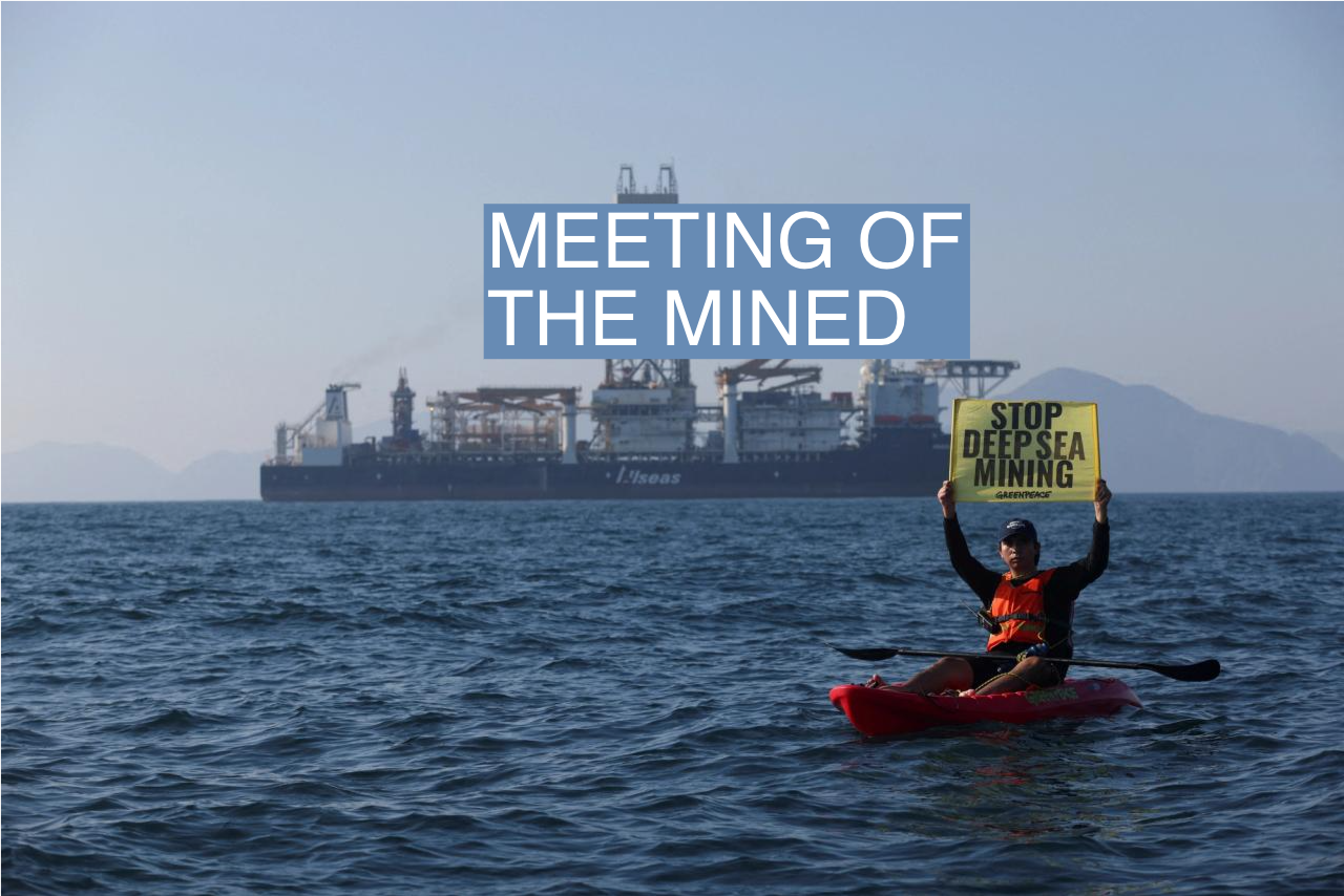 Greenpeace 2025 Calendar Week Number wren delphine