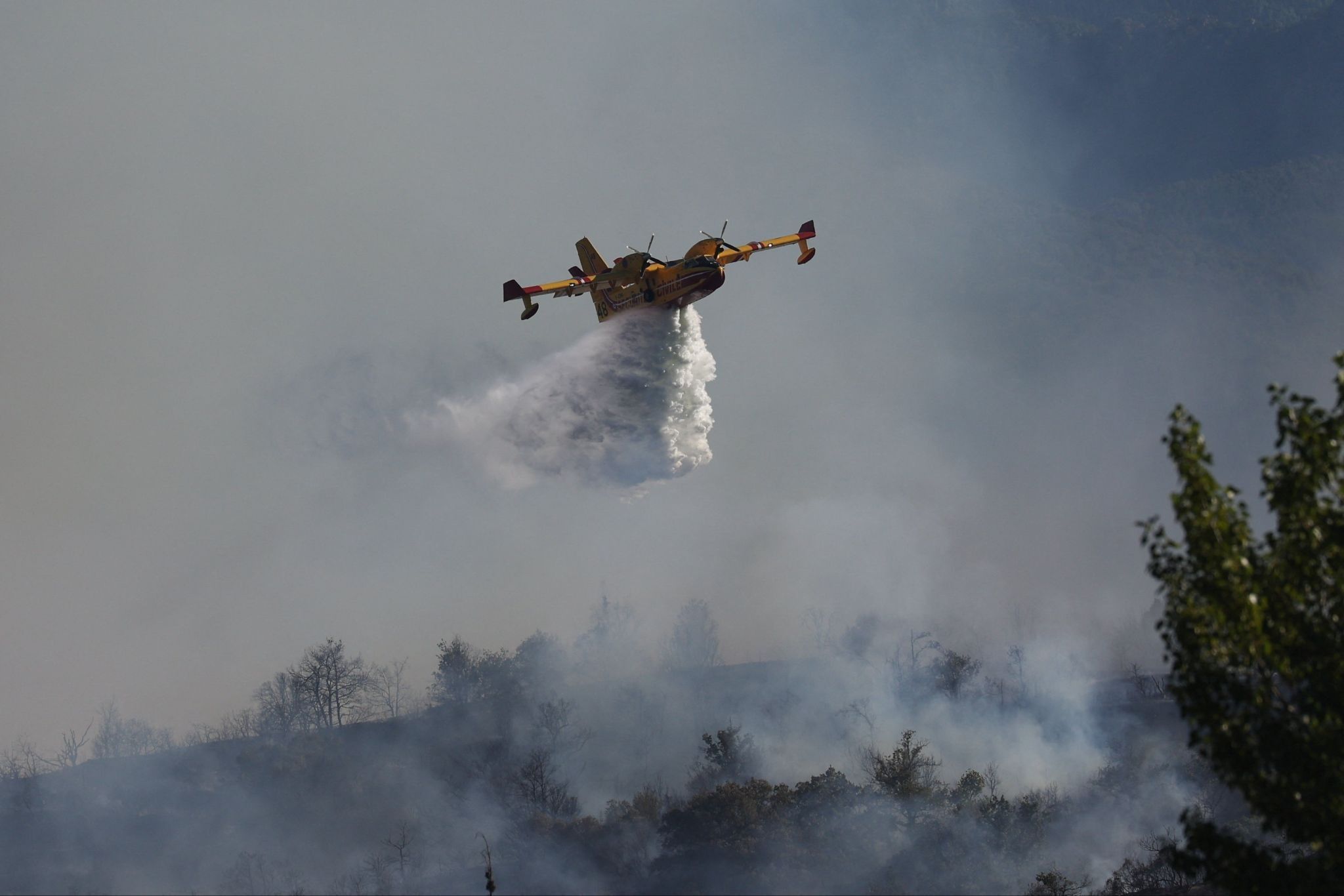 An aircraft combats a wildfire in Ille-sur-Tet near Perpignan, France.
