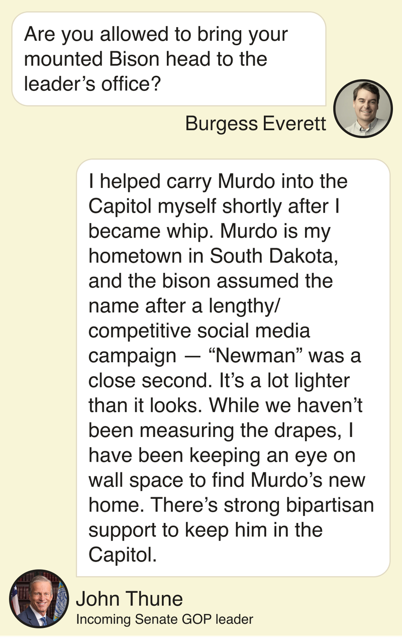 Burgess Everett: Are you allowed to bring your mounted Bison head to the leader’s office? John Thune, incoming Senate GOP leader: I helped carry Murdo into the Capitol myself shortly after I became whip. Murdo is my hometown in South Dakota, and the bison assumed the name after a lengthy/competitive social media campaign — “Newman” was a close second. It’s a lot lighter than it looks. While we haven’t been measuring the drapes, I have been keeping an eye on wall space to find Murdo’s new home. There’s strong bipartisan support to keep him in the Capitol.