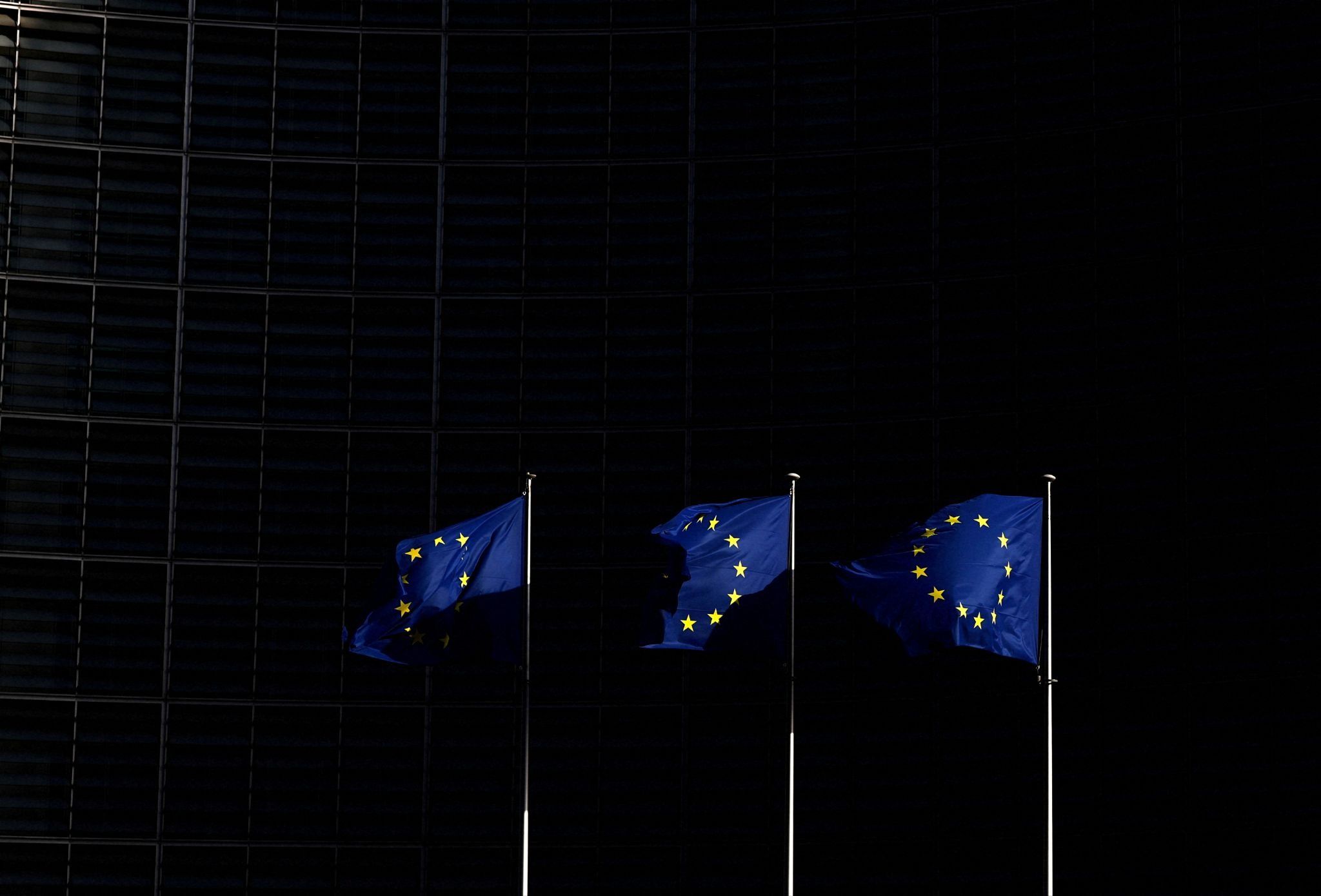 EU flags