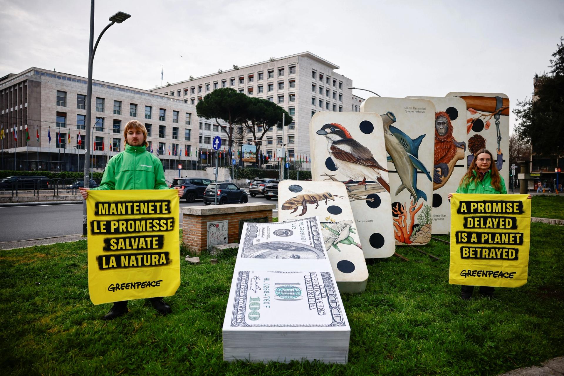 Greenpeace activists hold signs as part of a protest during the UN Biodiversity Conference in Rome.