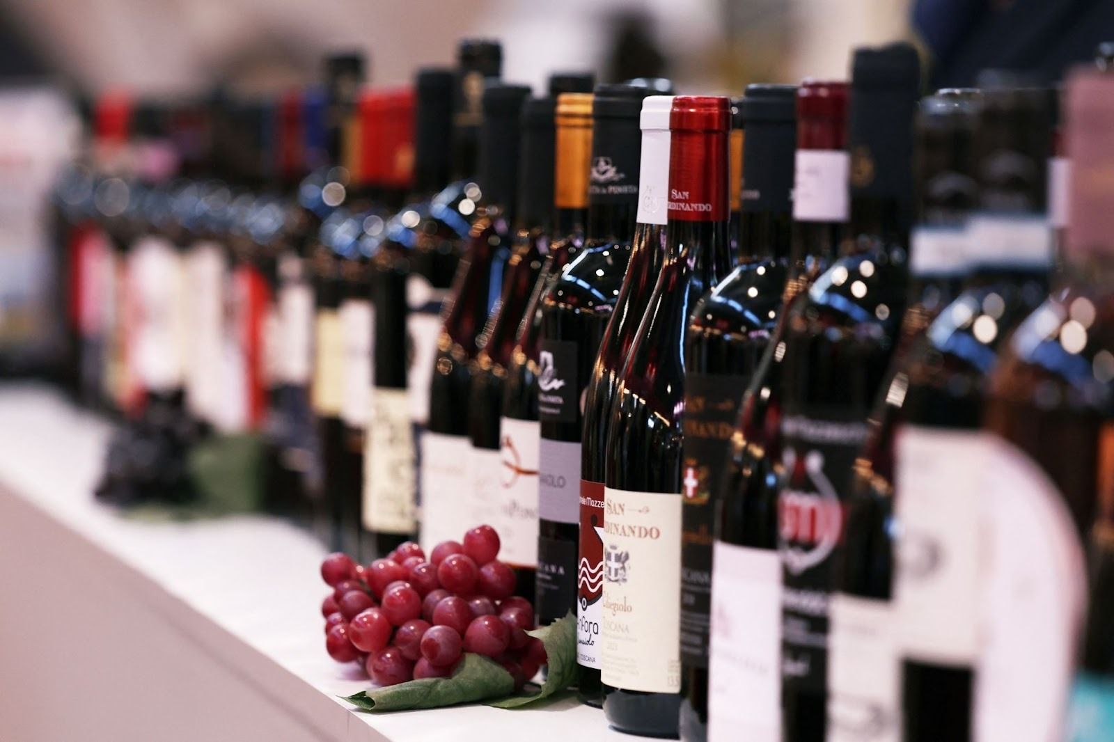 An assortment of fine wines