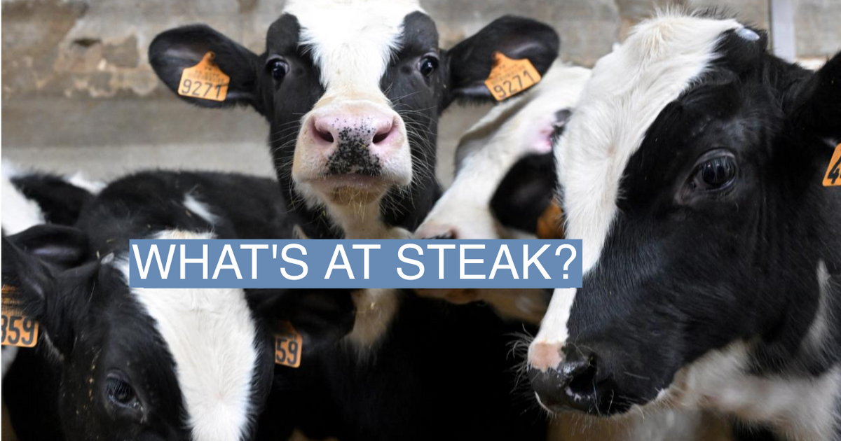 World’s first lab-grown beef to hit market soon | Semafor