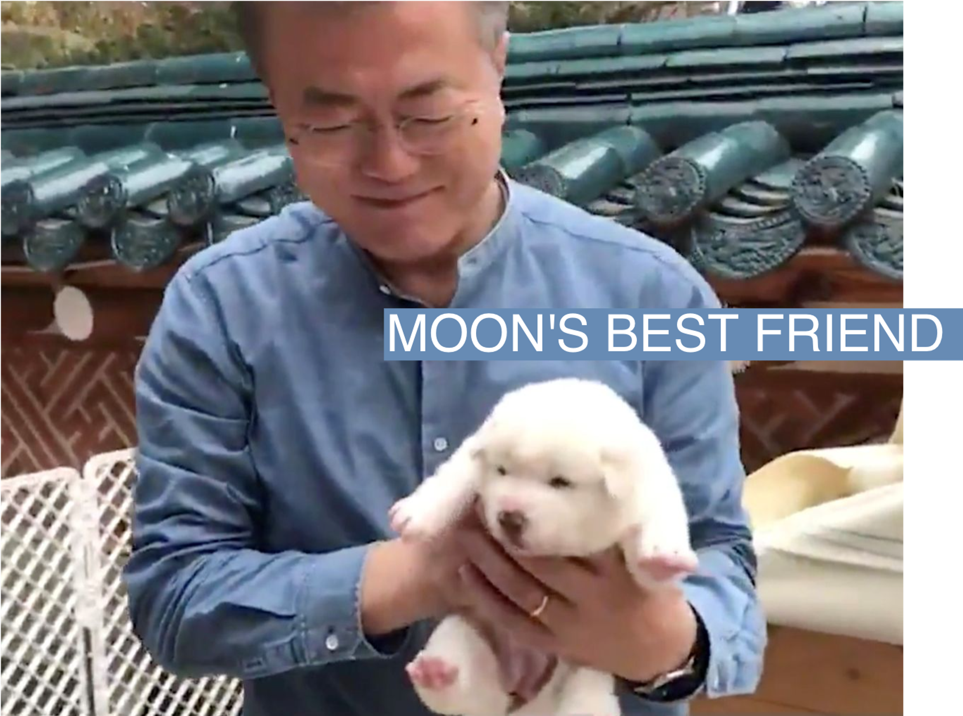 South Korean President Moon Jae-in holds a puppy born from a hunting dog gifted from North Korea, in Seoul, South Korea