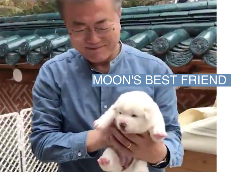 South Korean President Moon Jae-in holds a puppy born from a hunting dog gifted from North Korea, in Seoul, South Korea