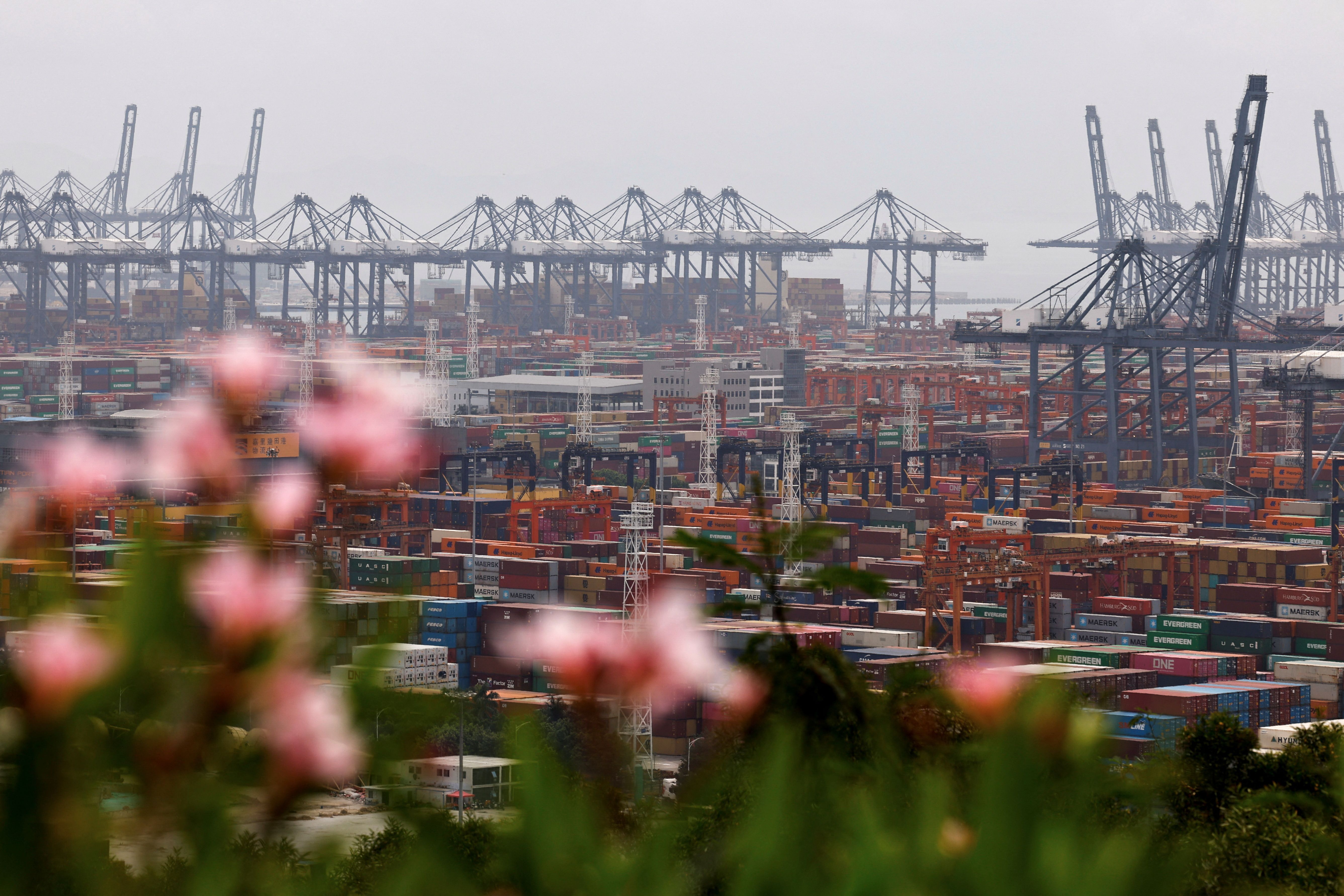 Cranes and containers are pictured at the Yantian port in Shenzhen.