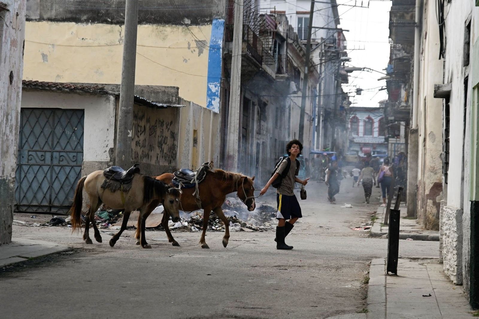 A boy leading horses in Havana. 