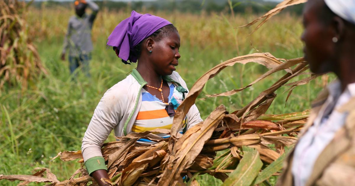 El Niño threatens Africa’s food security