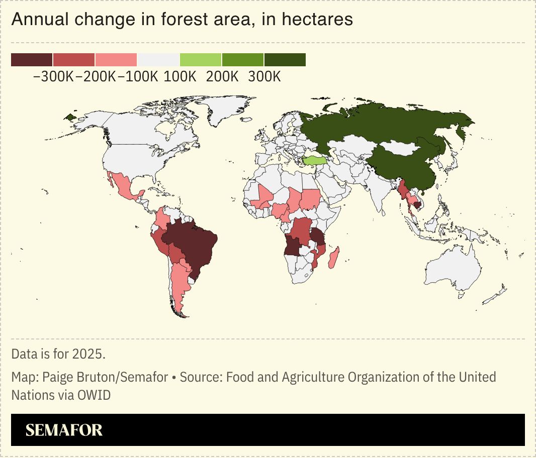 A chart showing the annual change in forest area, in hectares, across the world.