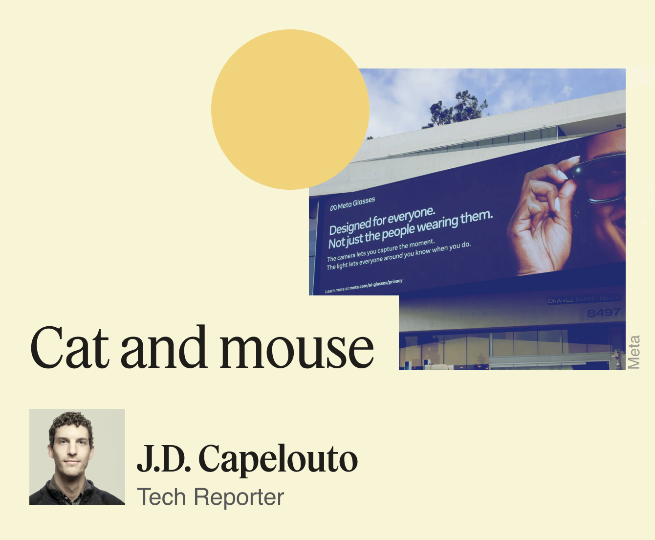 Cat and mouse.