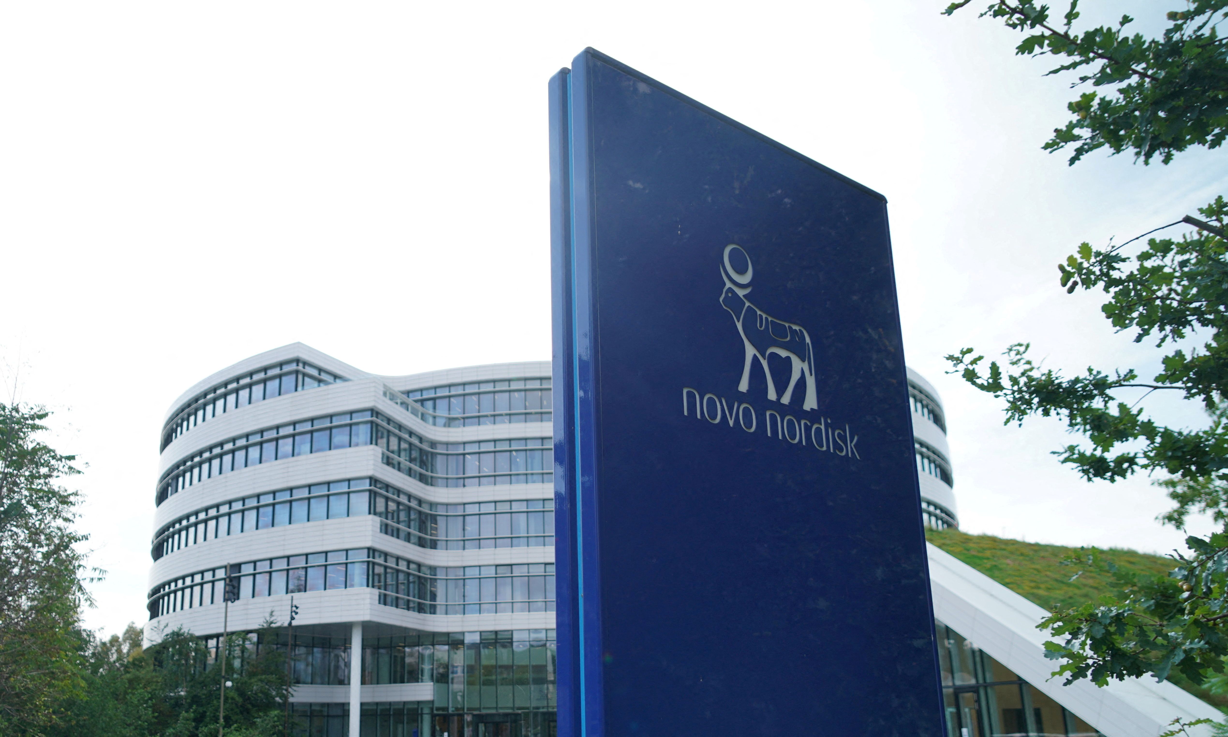 Novo Nordisk faces a rough patch