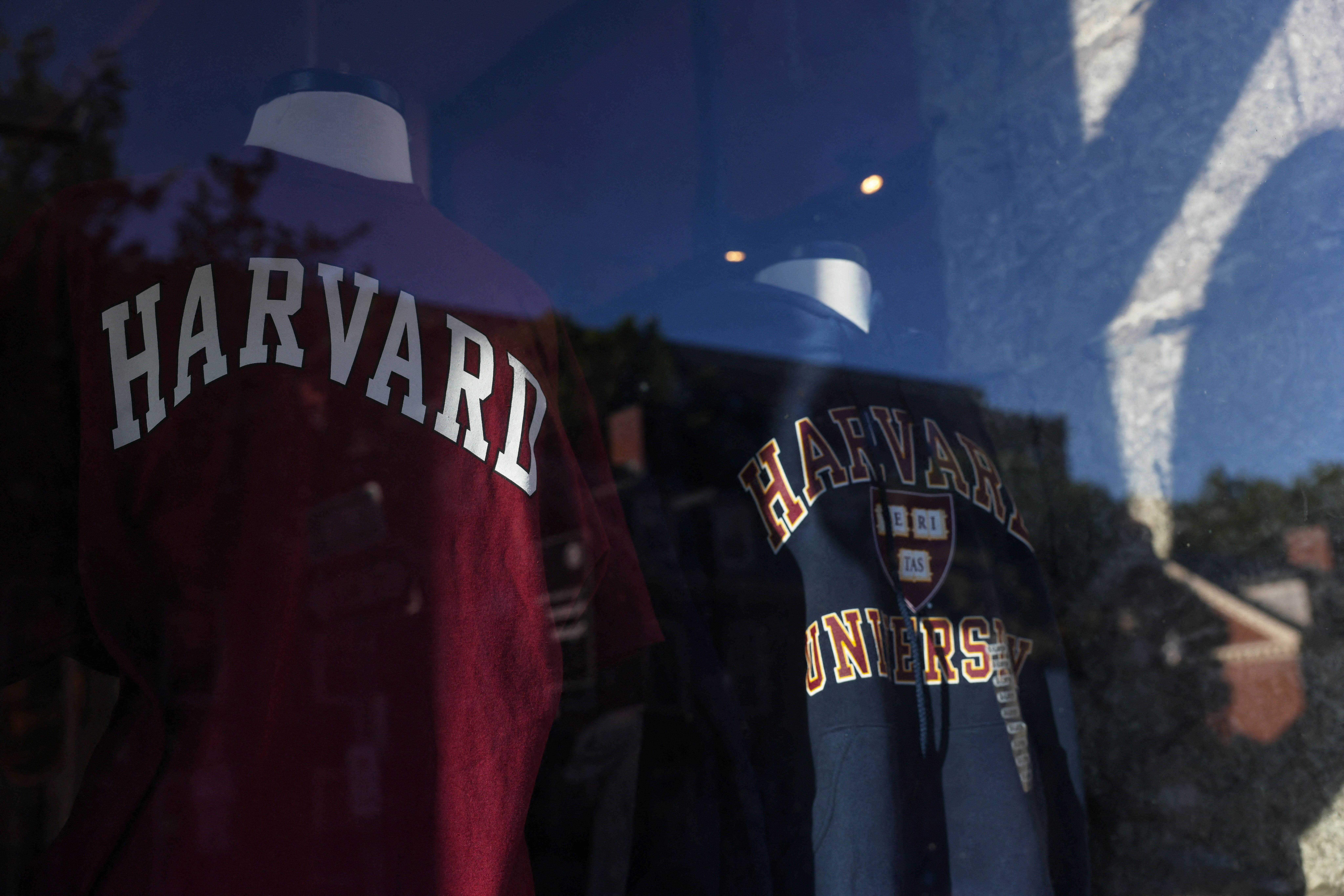 Harvard University merchandise stand in a window.