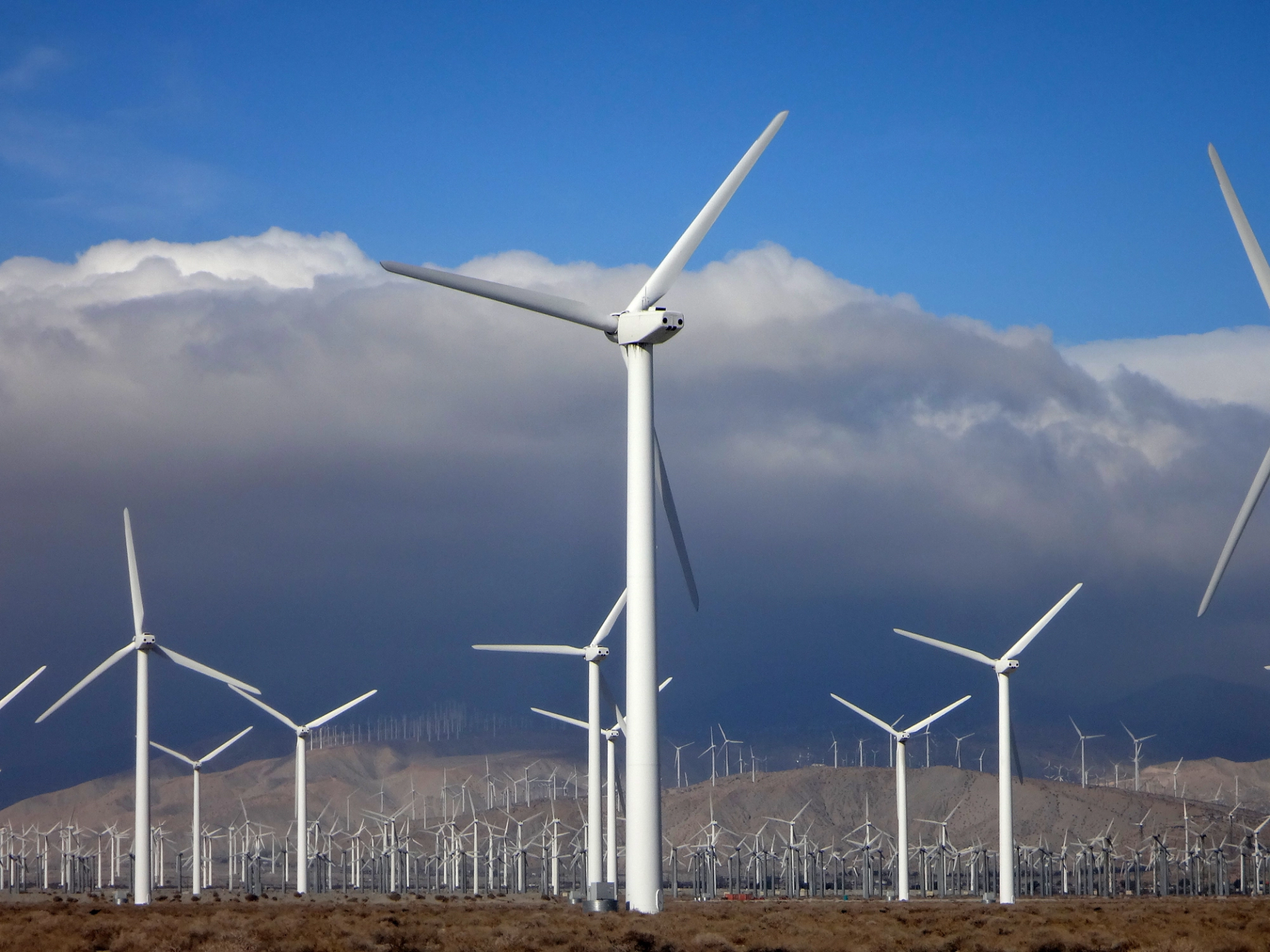 Wind turbines in southern California