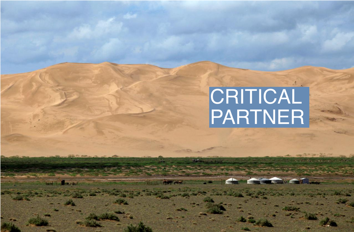 A view of the Khongoriin Els sand dunes is seen in Umnugobi Aimag, Mongolia, June 29, 2014. Picture taken June 29, 2014.