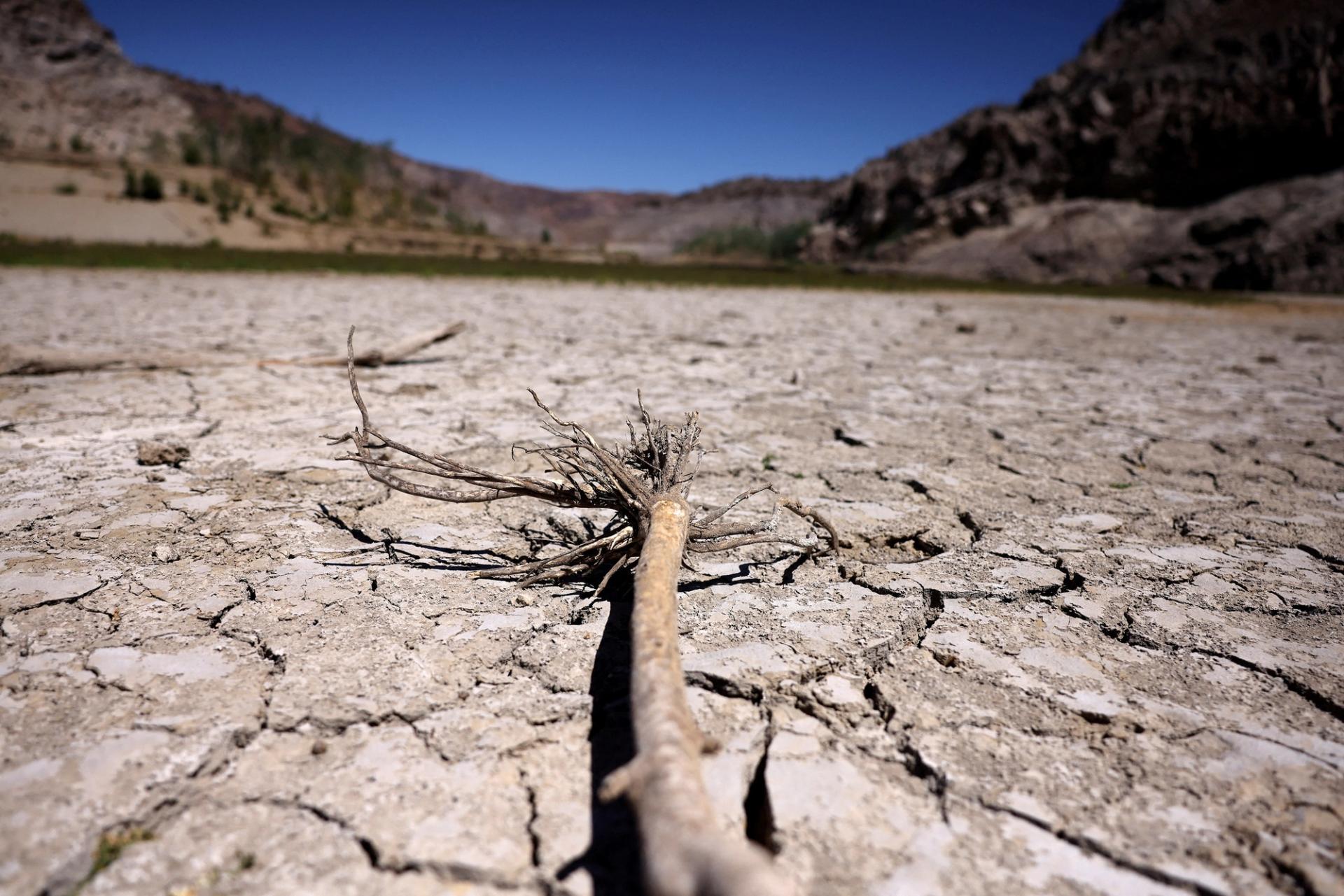 A tree lies on the cracked bed of the dried Cogoti reservoir, Chile.