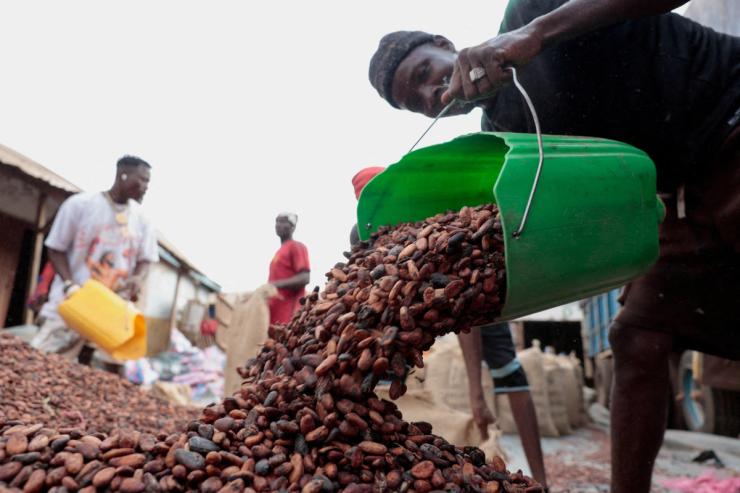 Cocoa farmers in Côte d’Ivoire
