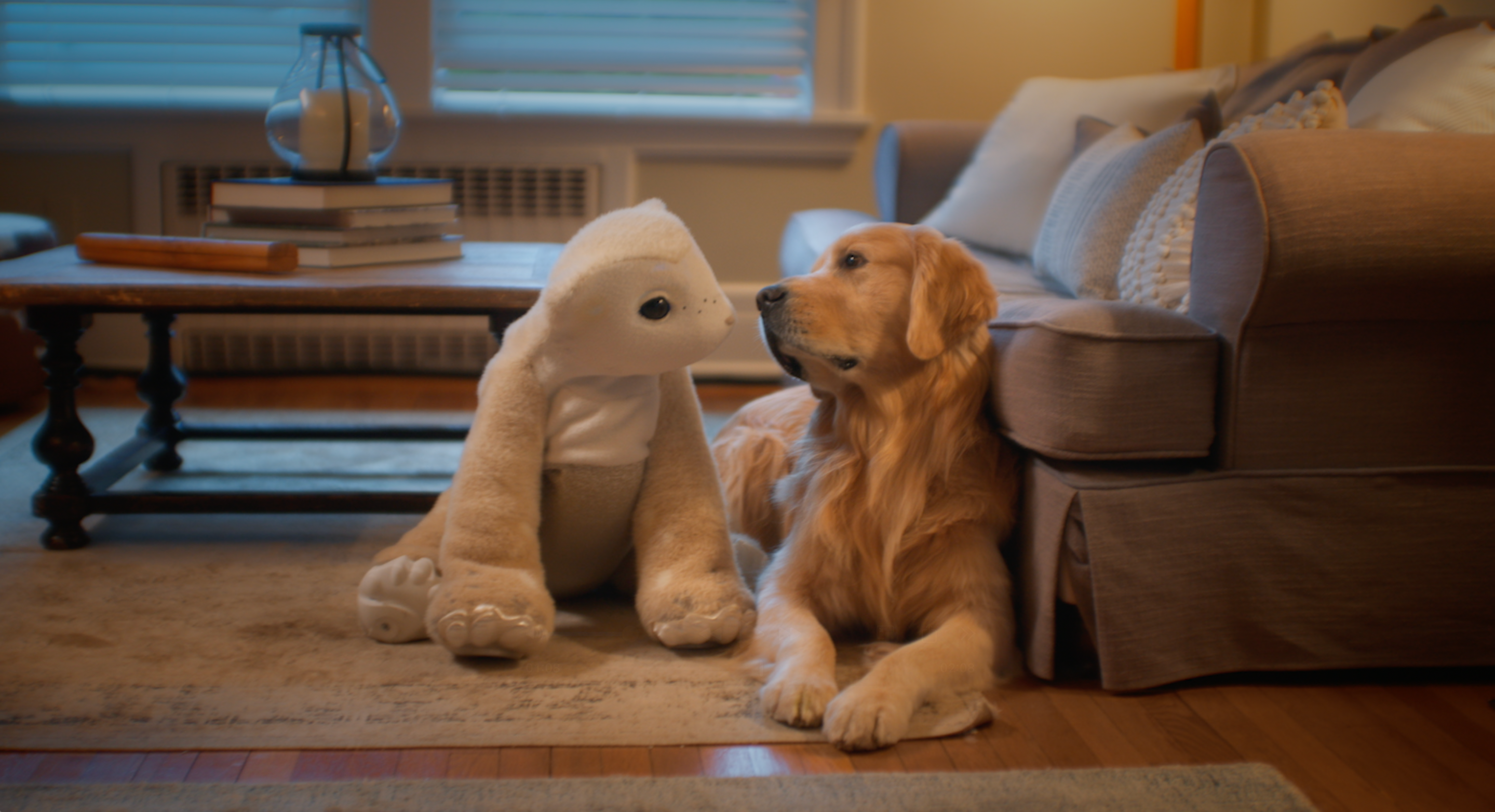 A robot and a dog.