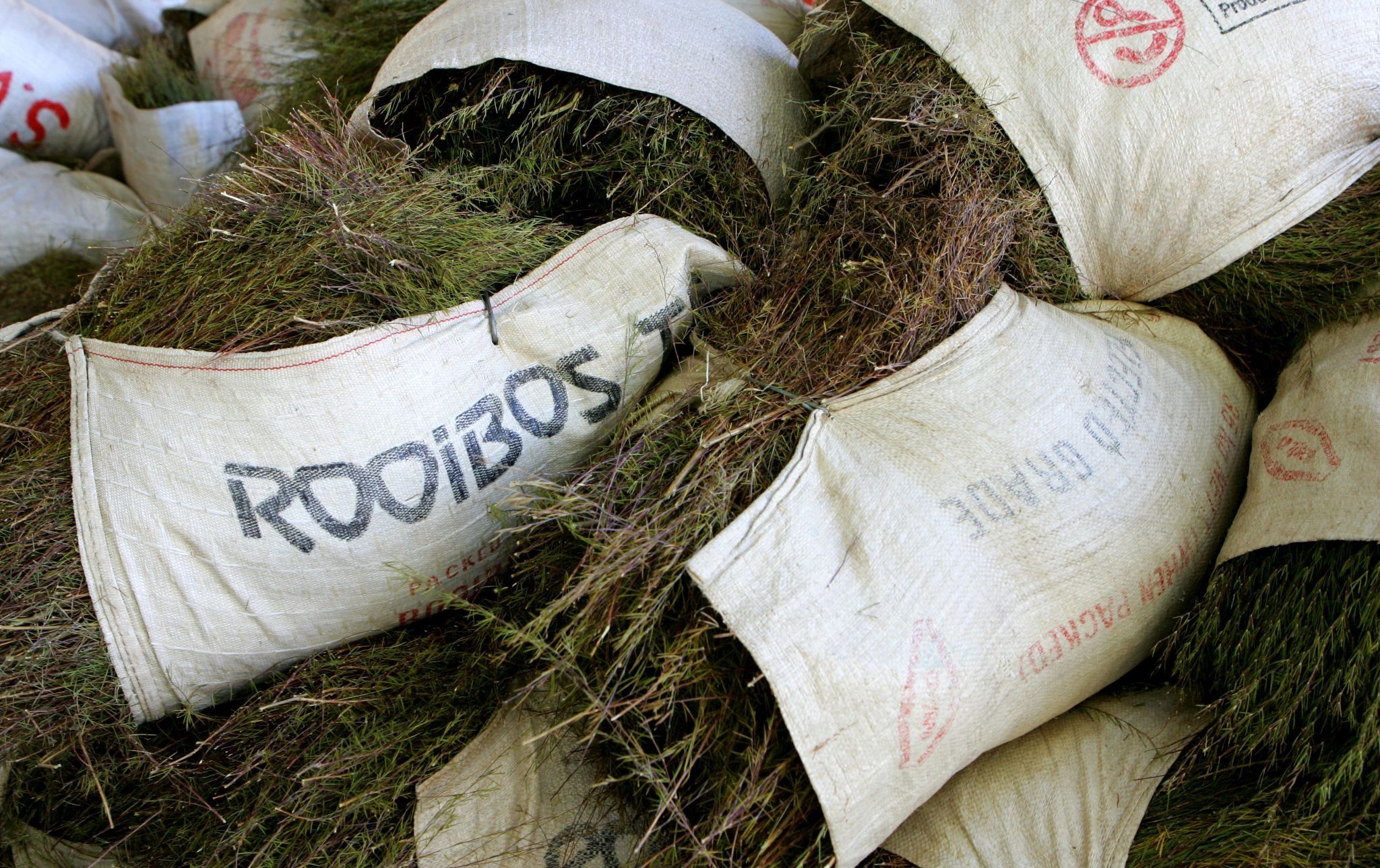 Bags of raw Rooibos tea pile up at a processing plant run.