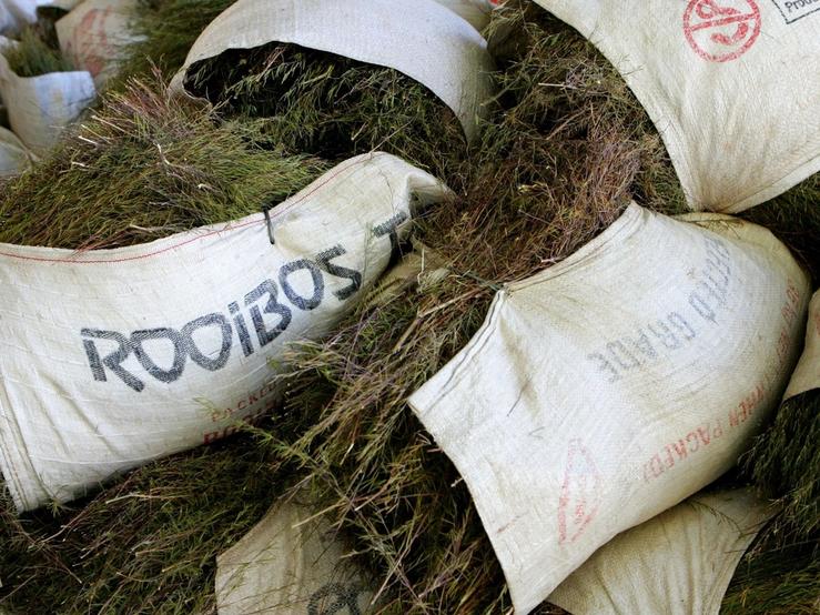 Bags of raw Rooibos tea pile up at a processing plant run.