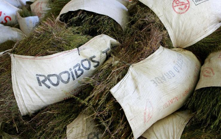 Bags of raw Rooibos tea pile up at a processing plant run.