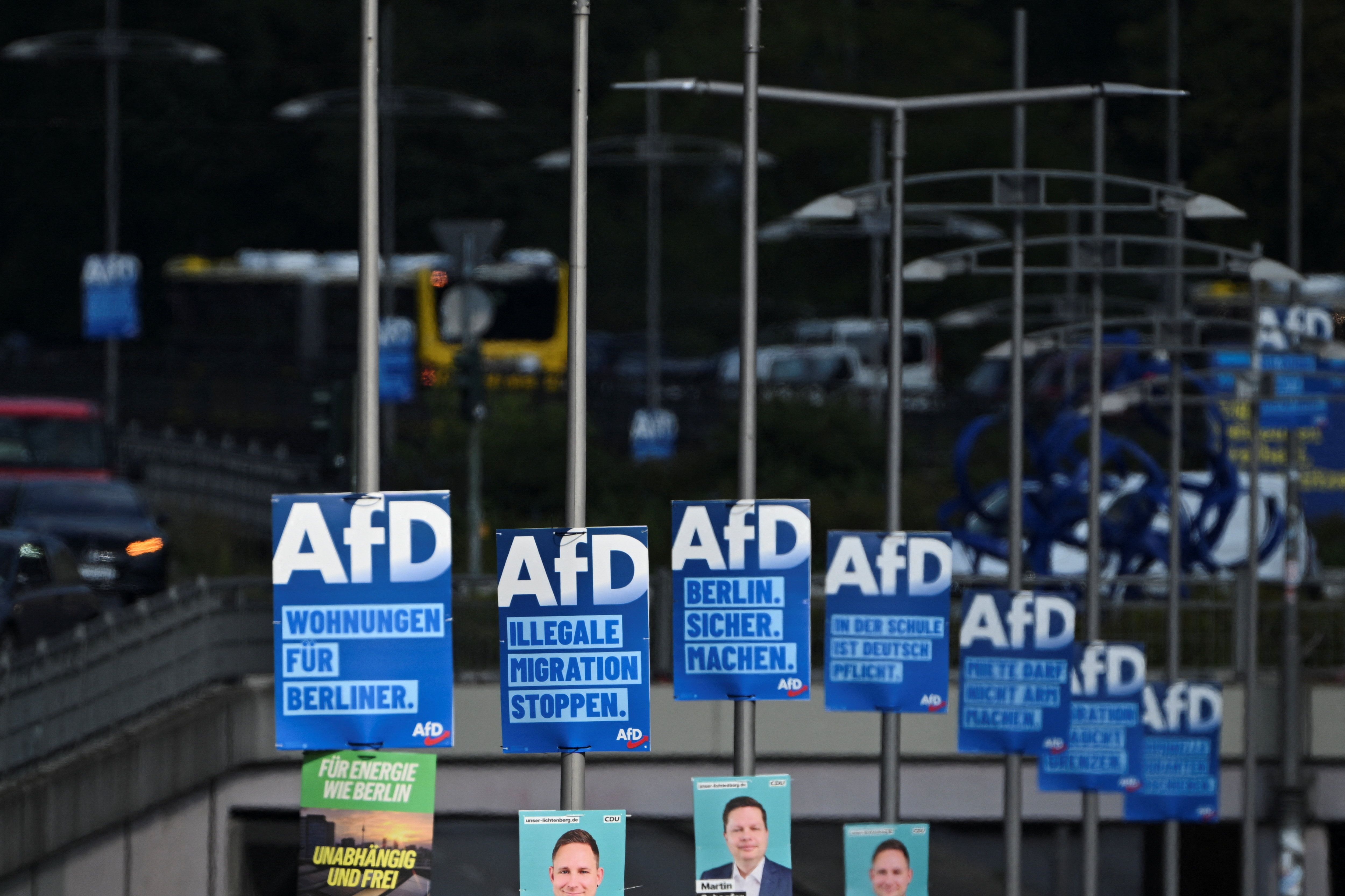 Election campaign posters of the Alternative for Germany party.