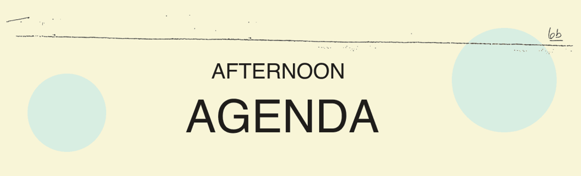 Afternoon agenda.