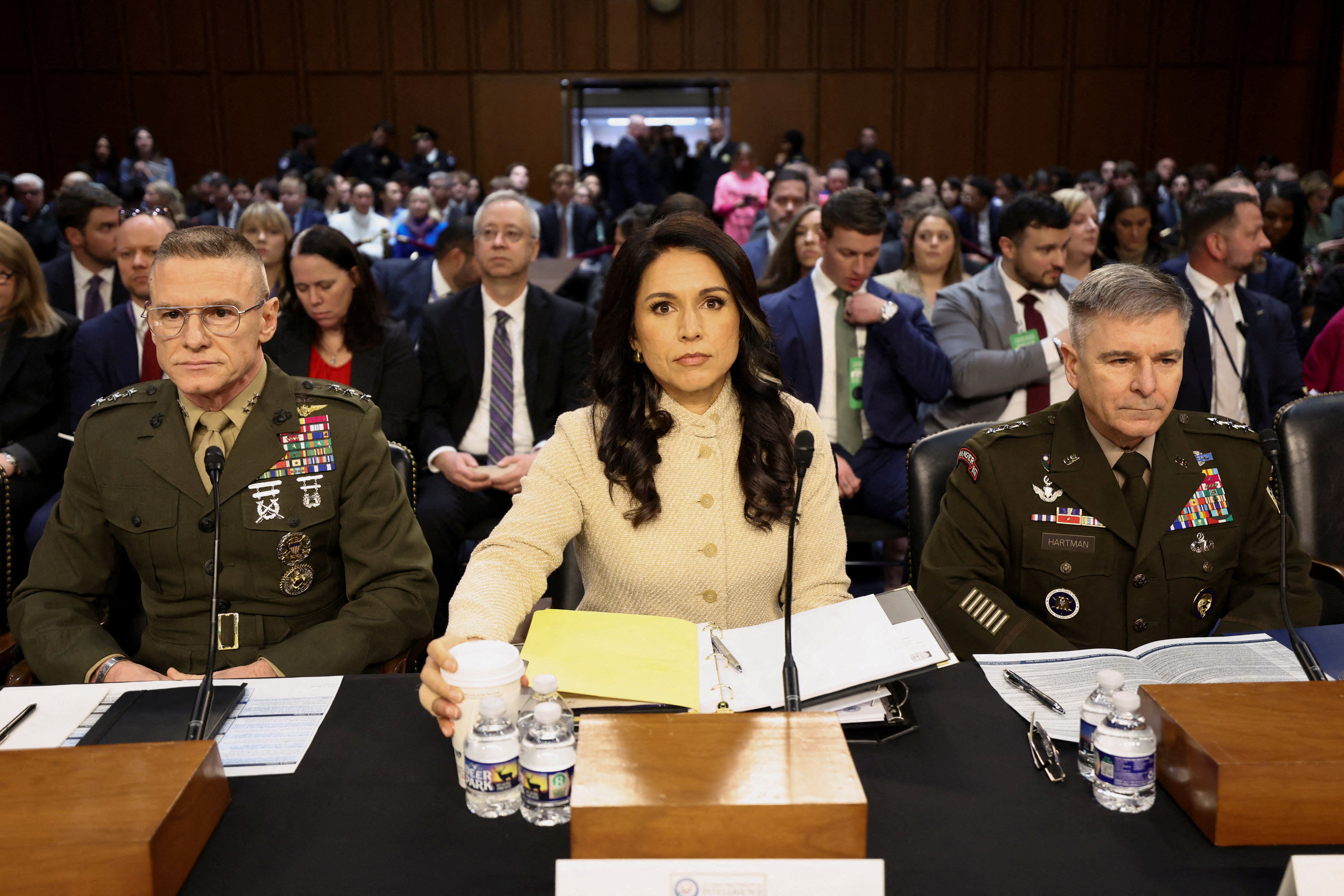Tulsi Gabbard testifies