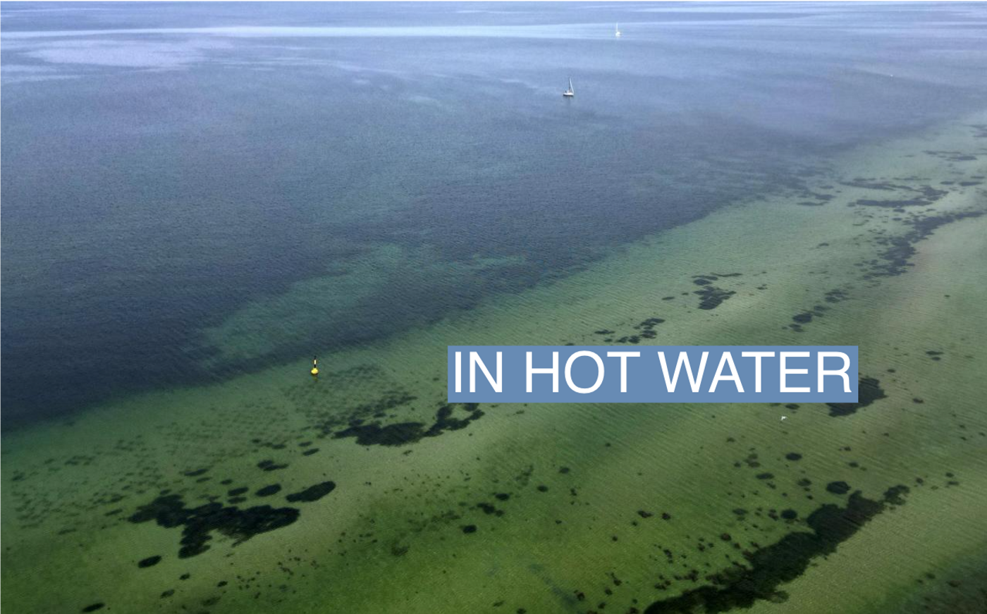 The bay and coastline are seen in Gelting, Northern Germany, June 20, 2023. Scientists of the SeaStore Seagrass Restoration Project of the GEOMAR Helmholtz Centre for Ocean Research Kiel have created three test meadows with 12,000 hand-planted shoots since 2021. REUTERS/Lisi Niesner