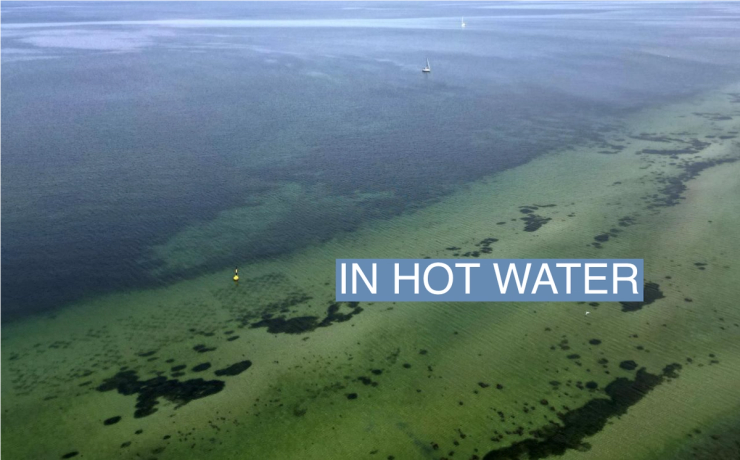 The bay and coastline are seen in Gelting, Northern Germany, June 20, 2023. Scientists of the SeaStore Seagrass Restoration Project of the GEOMAR Helmholtz Centre for Ocean Research Kiel have created three test meadows with 12,000 hand-planted shoots since 2021. REUTERS/Lisi Niesner