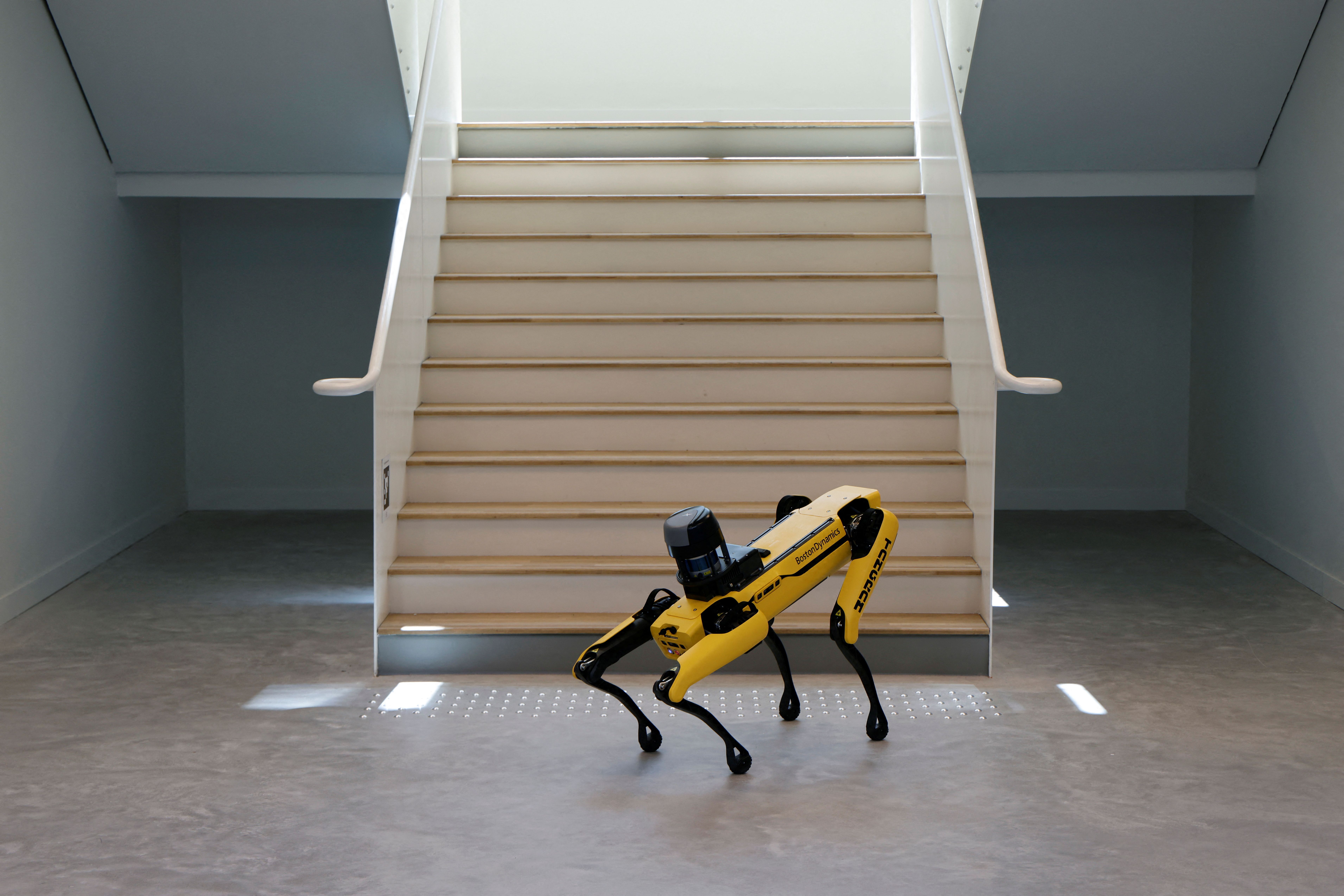 A Boston Dynamics dog robot in 2024.