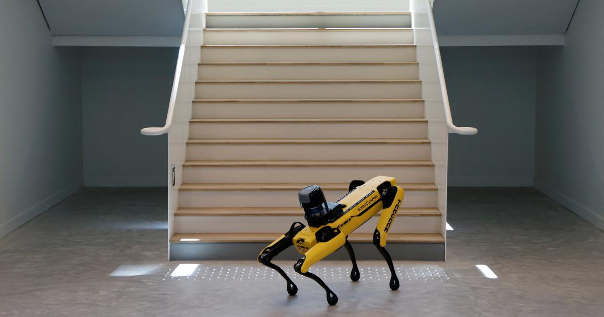 Exclusive: Worker backlash over ‘flash bang’ grenades sank Boston Dynamics ...