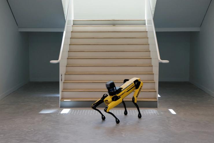 A Boston Dynamics dog robot in 2024.