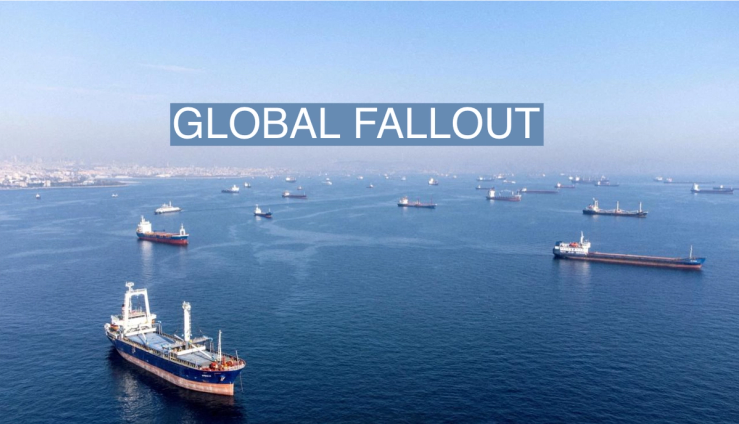 Commercial vessels including vessels which are part of Black Sea grain deal wait to pass the Bosphorus strait off the shores of Yenikapi during a misty morning in Istanbul, Turkey, October 31, 2022. REUTERS/Umit Bektas/File Photo