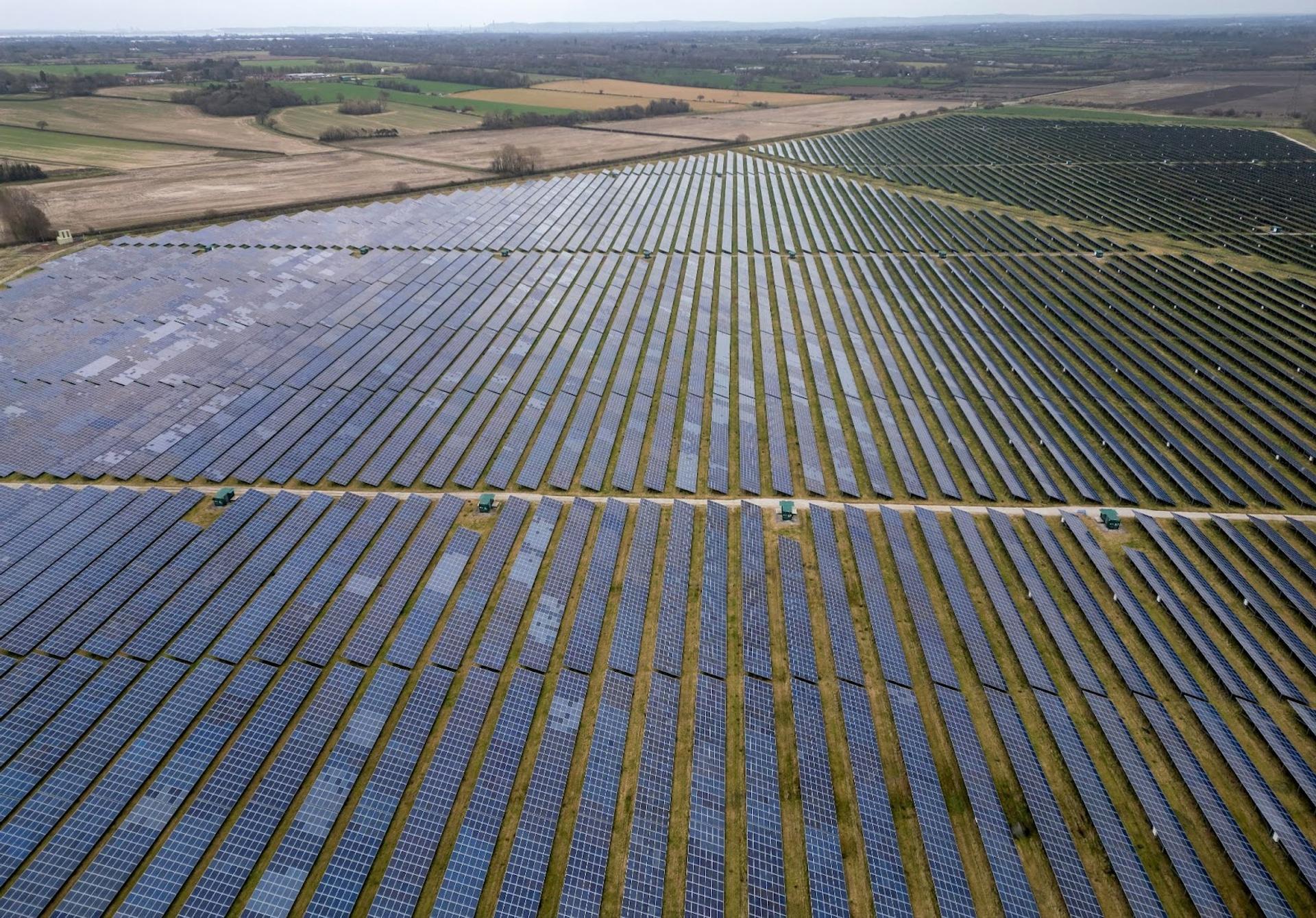 Rows of solar panels